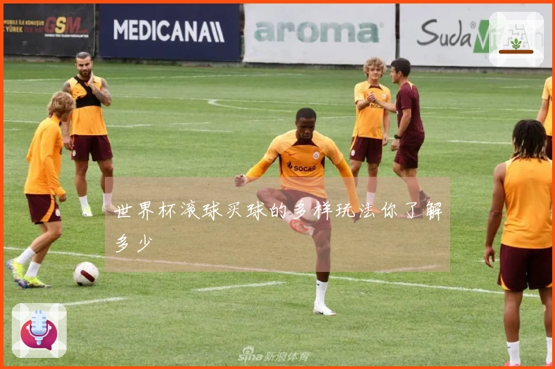 世界杯滚球买球的多样玩法你了解多少