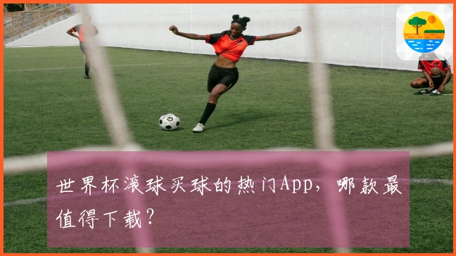 世界杯滚球买球的热门App，哪款最值得下载？