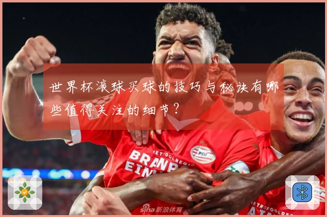 世界杯滚球买球的技巧与秘诀有哪些值得关注的细节？